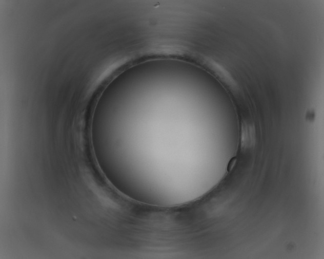 X0000093090627200710101518