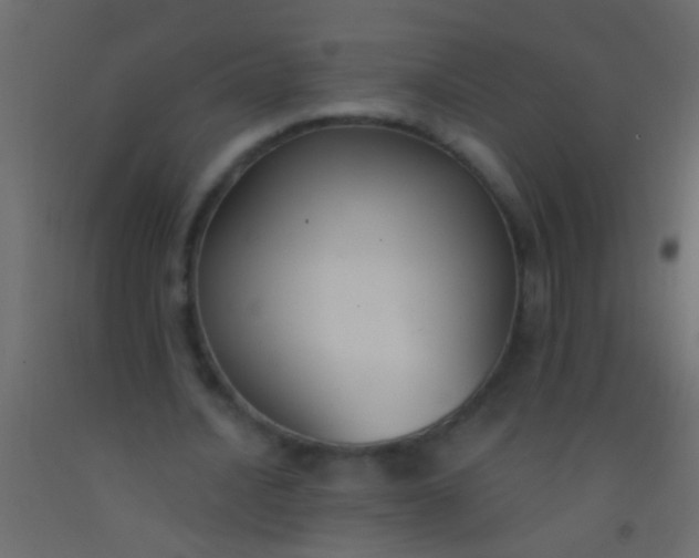 X0000093090628200710101518