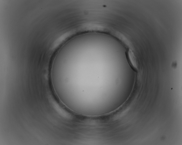 X0000093090629200710101518