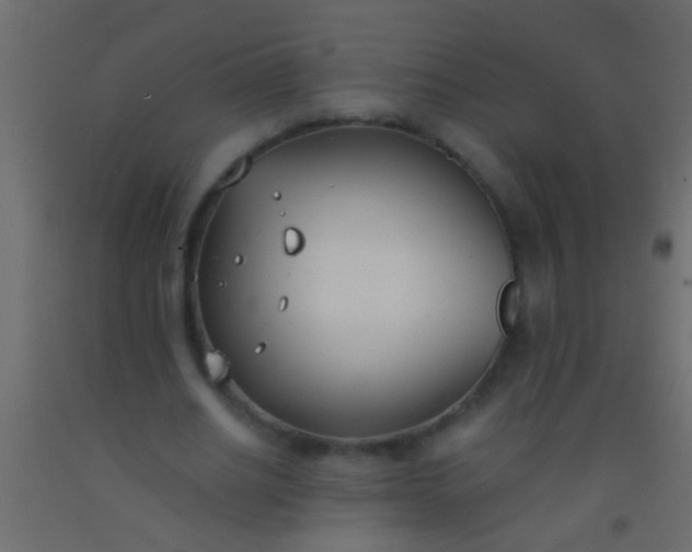 X0000093090630200710101518