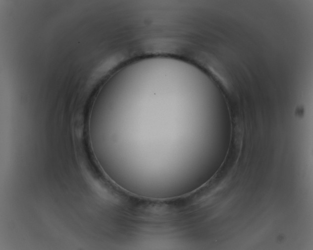 X0000093090631200710101518