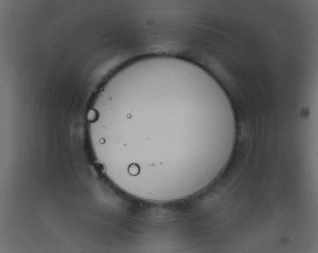 X0000093090632200710101518