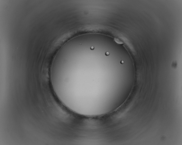 X0000093090633200710101518