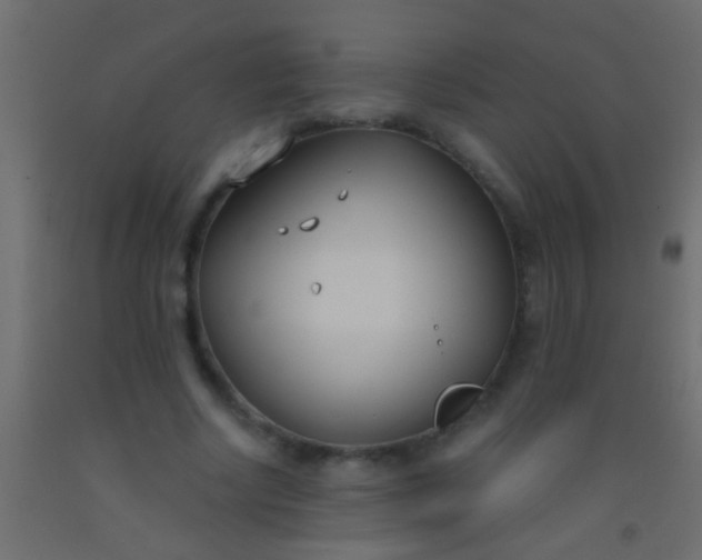 X0000093090634200710101518