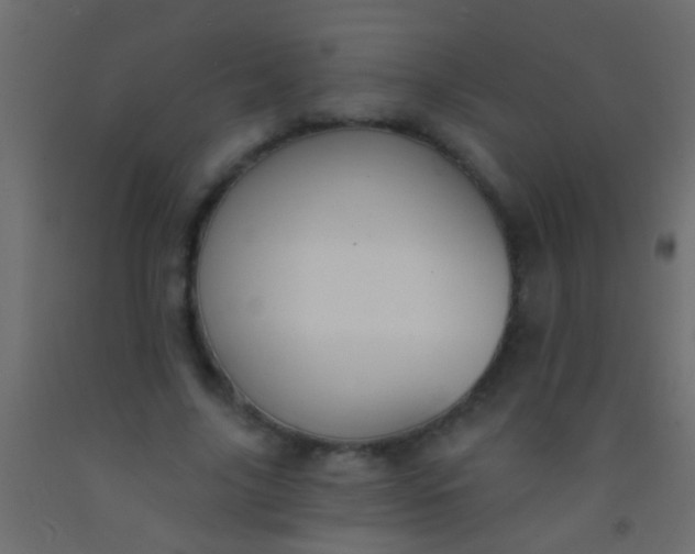 X0000093090635200710101518