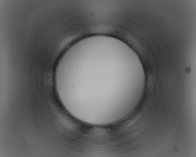 X0000093090636200710101518