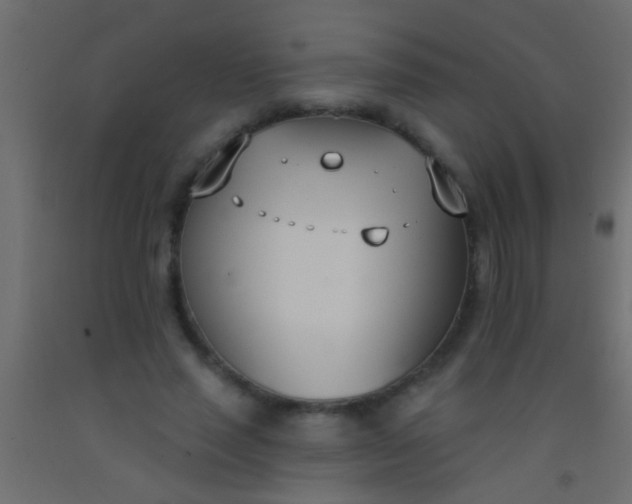 X0000093090637200710101518