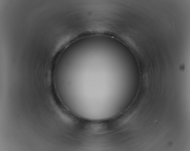 X0000093090638200710101518