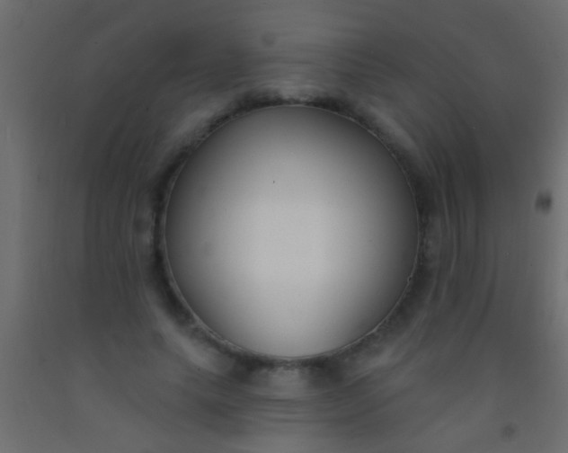 X0000093090639200710101518