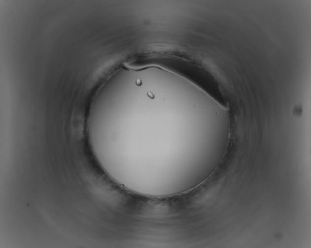 X0000093090640200710101518