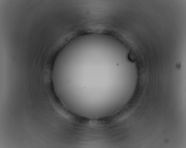 X0000093090641200710101518