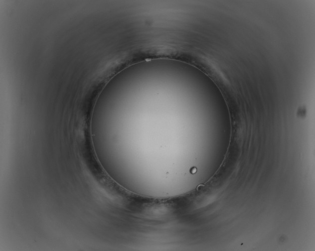 X0000093090643200710101518