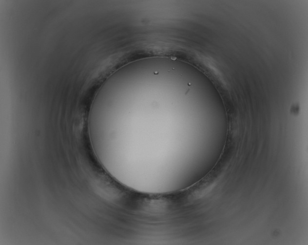 X0000093090645200710101518