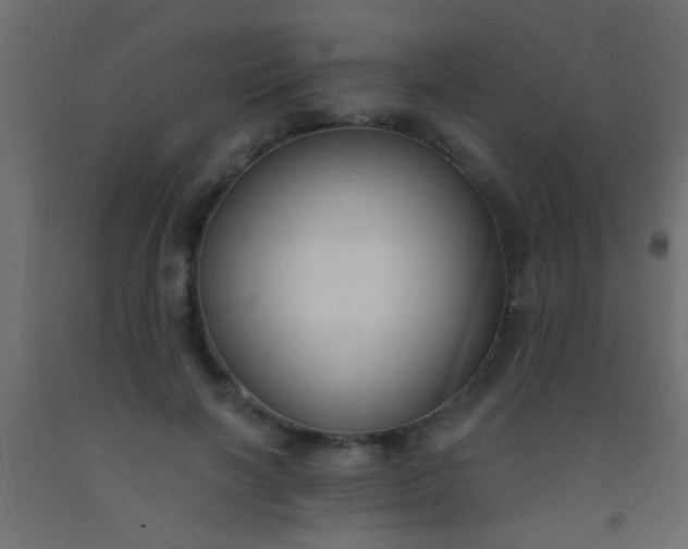 X0000093090646200710101518