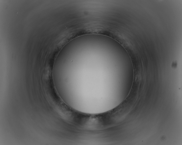 X0000093090647200710101518