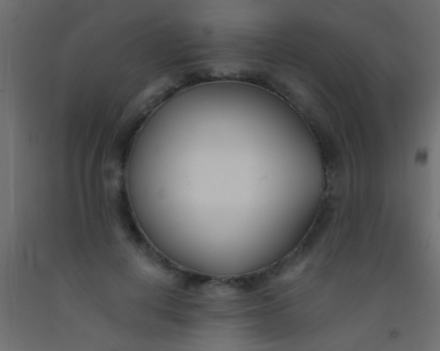 X0000093090648200710101518