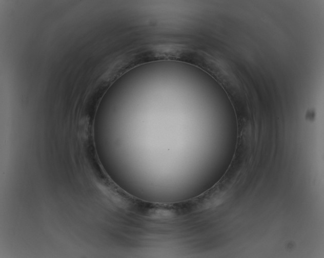 X0000093090649200710101518