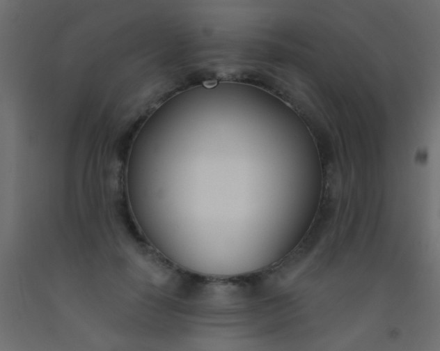 X0000093090650200710101518