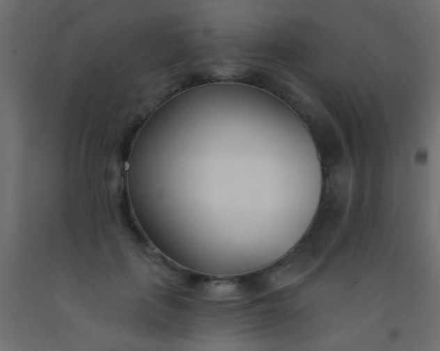 X0000093090651200710101518