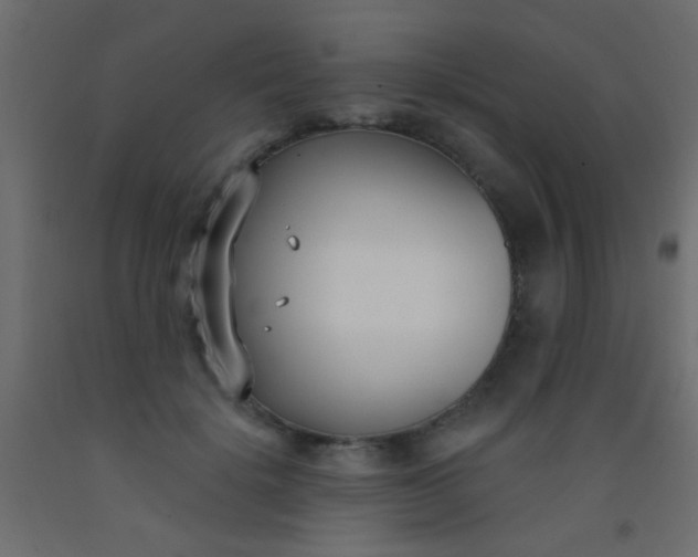 X0000093090652200710101518