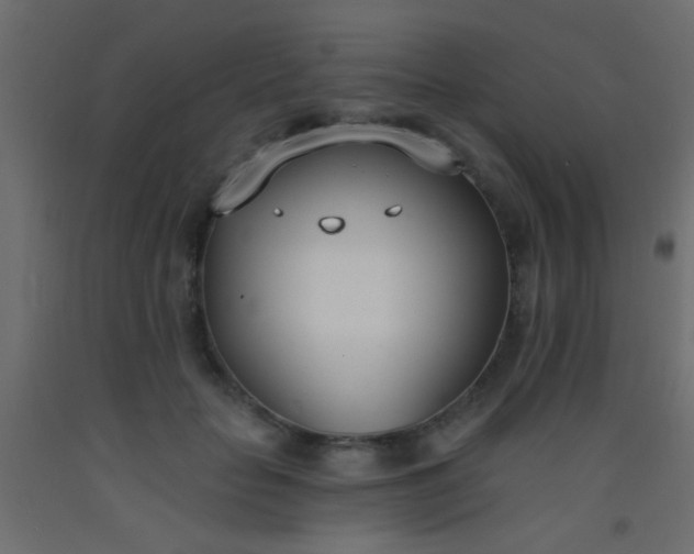 X0000093090653200710101518