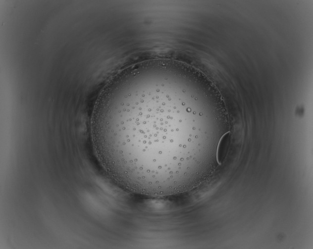 X0000093090654200710101518