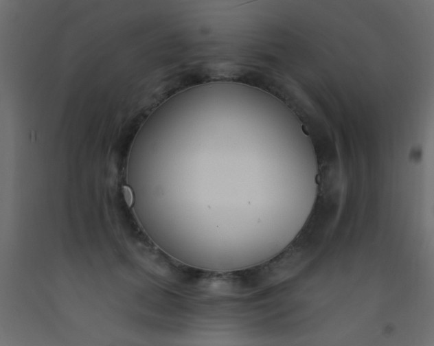 X0000093090655200710101518