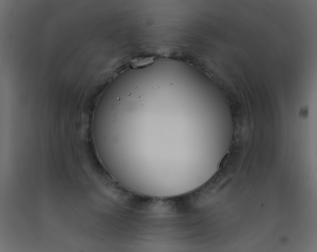 X0000093090656200710101518