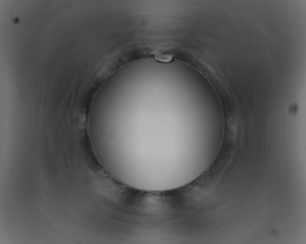 X0000093090657200710101518