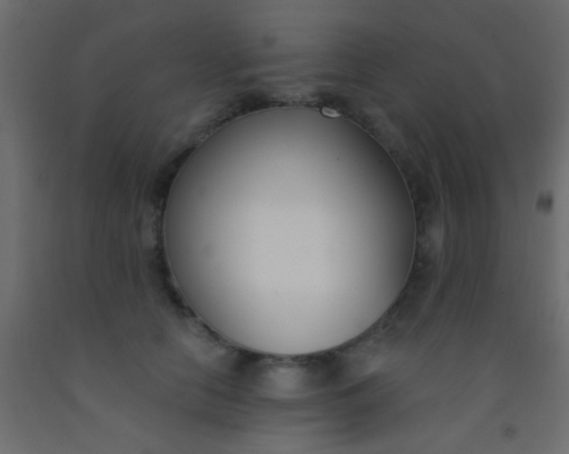 X0000093090658200710101518