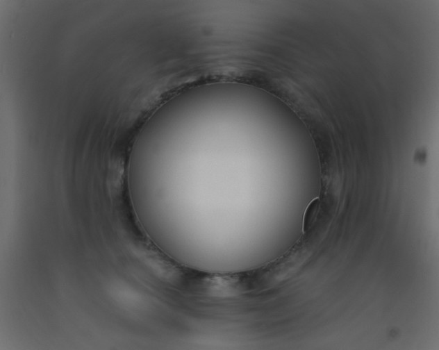 X0000093090660200710101518