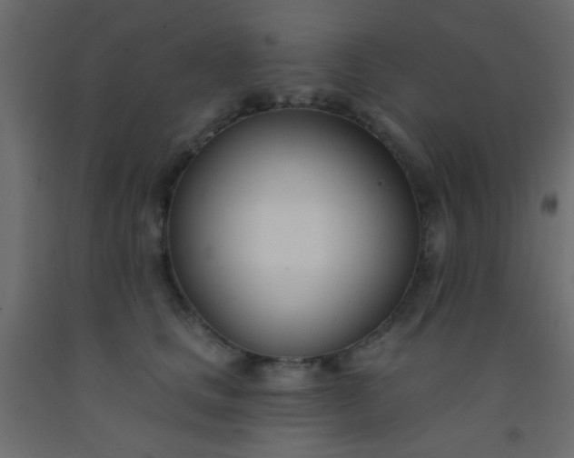 X0000093090661200710101518