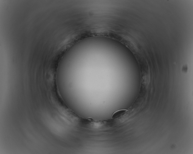 X0000093090662200710101518