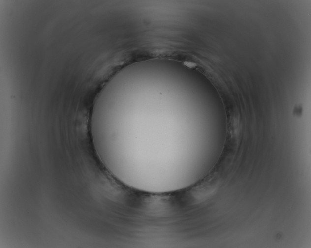 X0000093090664200710101518