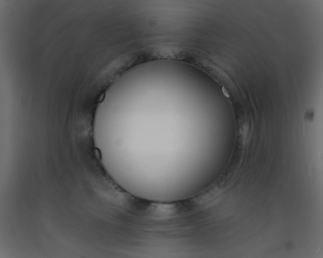 X0000093090665200710101518