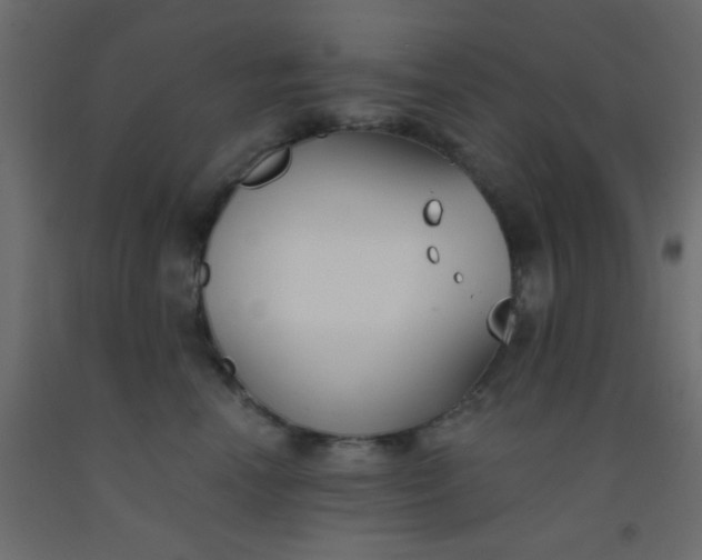 X0000093090666200710101518