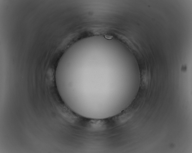 X0000093090667200710101518