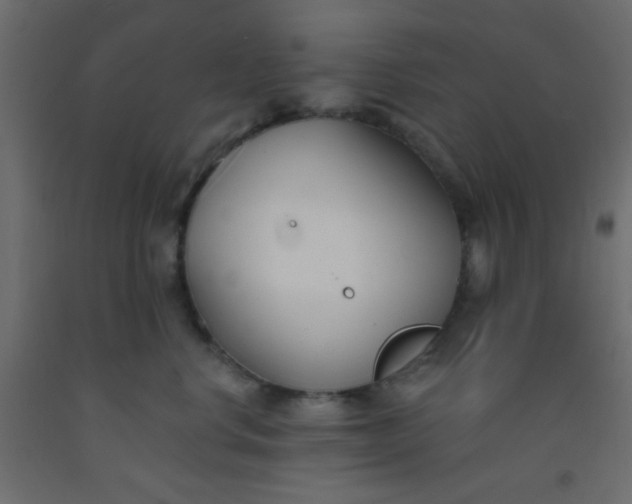 X0000093090668200710101518