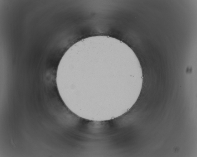 X0000093090672200710101518