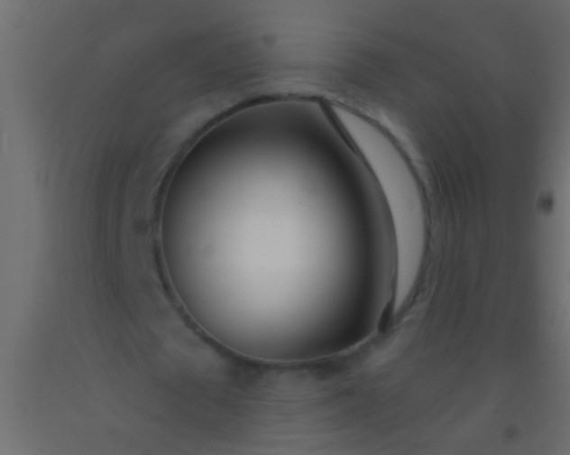 X0000093090673200710101518