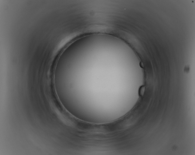 X0000093090674200710101517