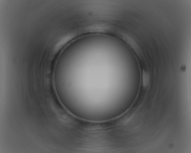 X0000093090675200710101517