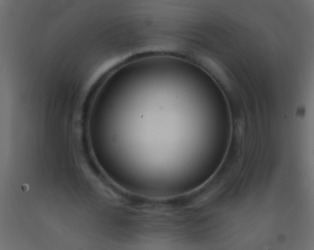 X0000093090676200710101517