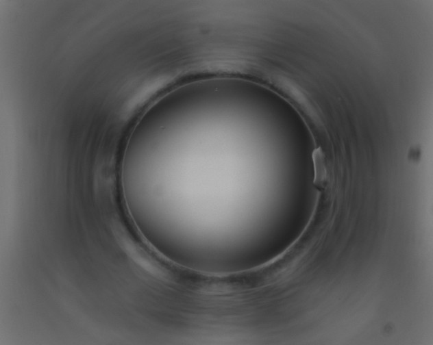 X0000093090677200710101517