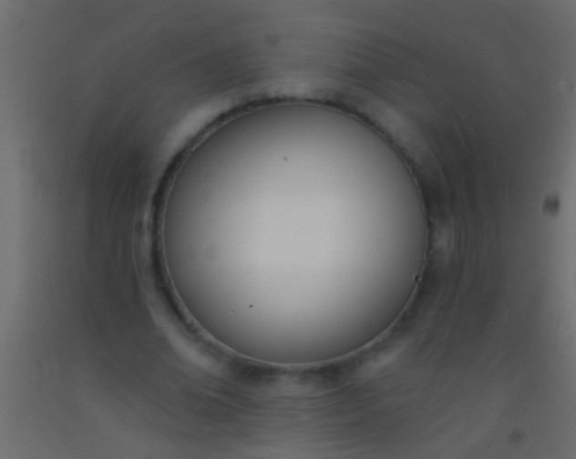 X0000093090678200710101517