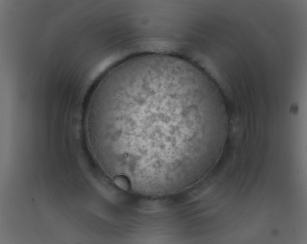 X0000093090679200710101517