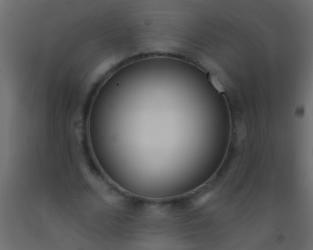 X0000093090680200710101517