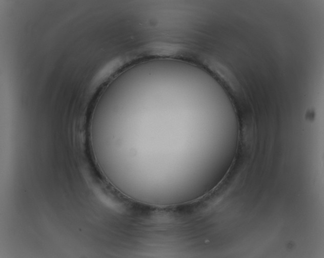 X0000093090682200710101517