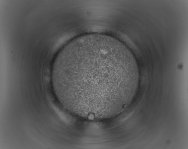 X0000093090683200710101517