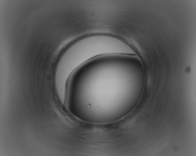 X0000093090684200710101517